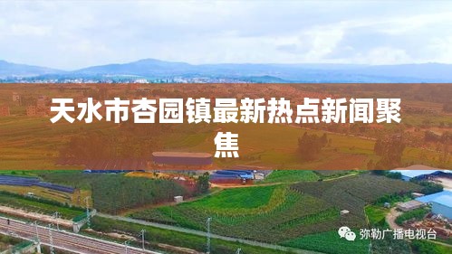 天水市杏园镇最新热点新闻聚焦