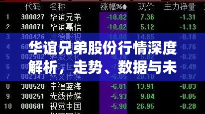 华谊兄弟股份行情深度解析，走势、数据与未来展望