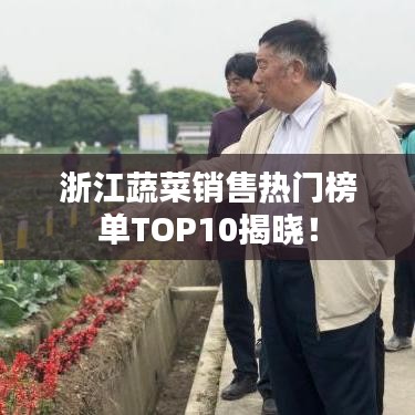 浙江蔬菜销售热门榜单TOP10揭晓！