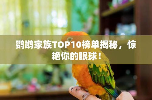 鹦鹉家族TOP10榜单揭秘，惊艳你的眼球！