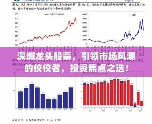 深圳龙头股票，引领市场风潮的佼佼者，投资焦点之选！