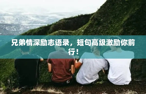 兄弟情深励志语录，短句高级激励你前行！