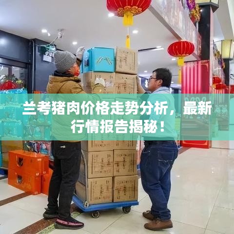 兰考猪肉价格走势分析，最新行情报告揭秘！