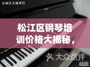 松江区钢琴培训价格大揭秘，行情分析与比较