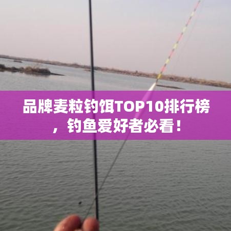 品牌麦粒钓饵TOP10排行榜，钓鱼爱好者必看！