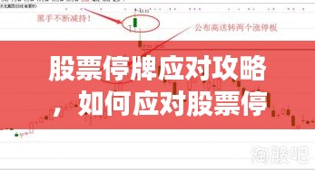 股票停牌应对攻略，如何应对股票停牌？