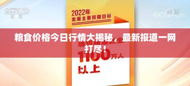 粮食价格今日行情大揭秘，最新报道一网打尽！