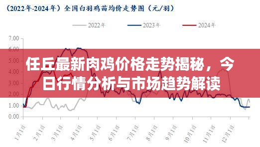 任丘最新肉鸡价格走势揭秘，今日行情分析与市场趋势解读