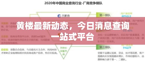 黄楼最新动态，今日消息查询一站式平台