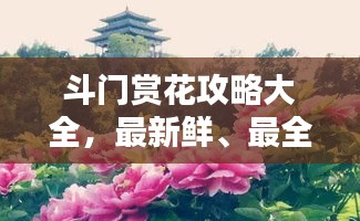 斗门赏花攻略大全，最新鲜、最全面的赏花指南！