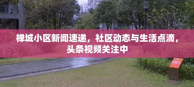 禅城小区新闻速递，社区动态与生活点滴，头条视频关注中