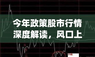 今年政策股市行情深度解读，风口上的机遇与挑战