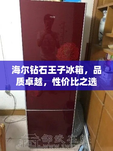 海尔钻石王子冰箱，品质卓越，性价比之选