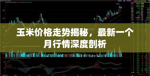 玉米价格走势揭秘，最新一个月行情深度剖析