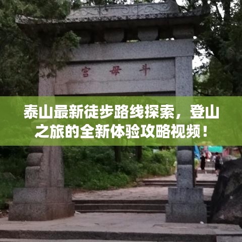 泰山最新徒步路线探索，登山之旅的全新体验攻略视频！