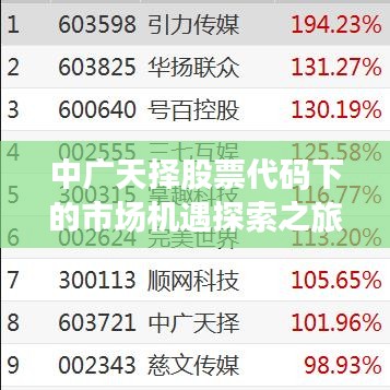 中广天择股票代码下的市场机遇探索之旅