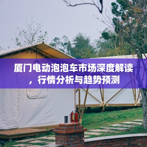 厦门电动泡泡车市场深度解读，行情分析与趋势预测