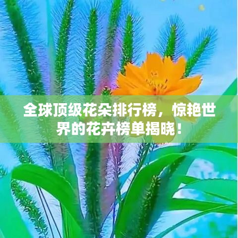 全球顶级花朵排行榜，惊艳世界的花卉榜单揭晓！