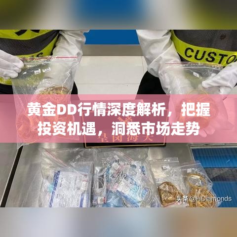 黄金DD行情深度解析，把握投资机遇，洞悉市场走势