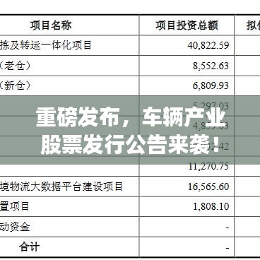 重磅发布，车辆产业股票发行公告来袭！