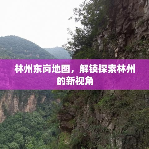 林州东岗地图，解锁探索林州的新视角