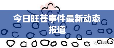 今日旺苍事件最新动态报道