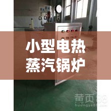 小型电热蒸汽锅炉价格解析，影响价格因素深度探讨