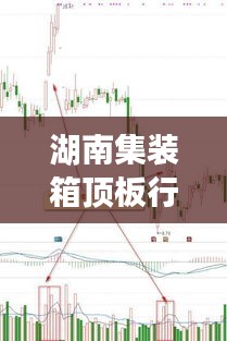 湖南集装箱顶板行情深度解析，最新价格与市场走势分析