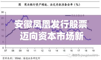 安徽凤凰发行股票 迈向资本市场新征程