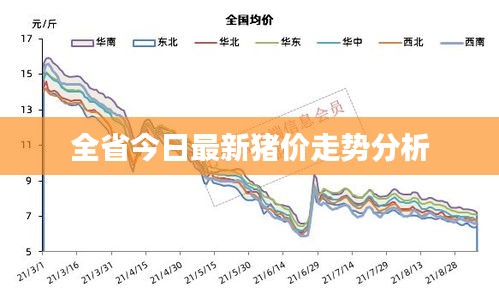 全省今日最新猪价走势分析