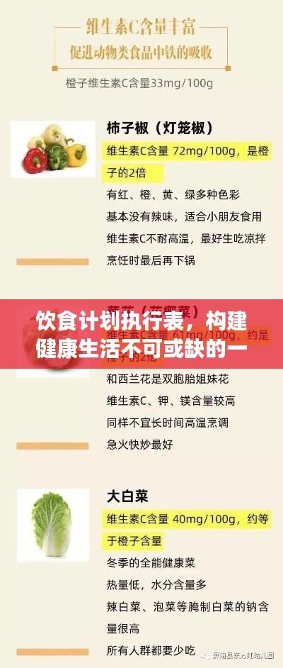 饮食计划执行表，构建健康生活不可或缺的一环