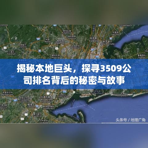 揭秘本地巨头，探寻3509公司排名背后的秘密与故事