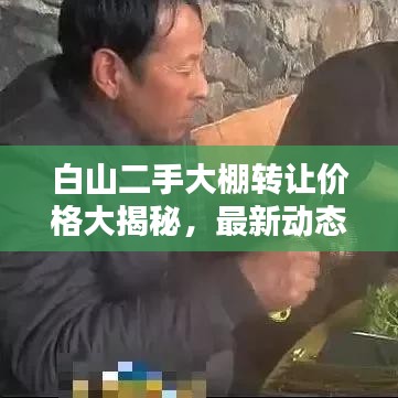 白山二手大棚转让价格大揭秘，最新动态一网打尽