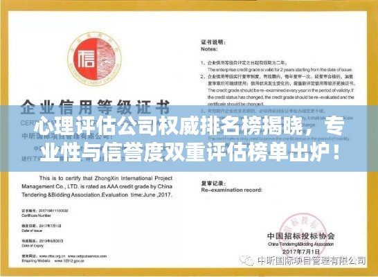 心理评估公司权威排名榜揭晓，专业性与信誉度双重评估榜单出炉！