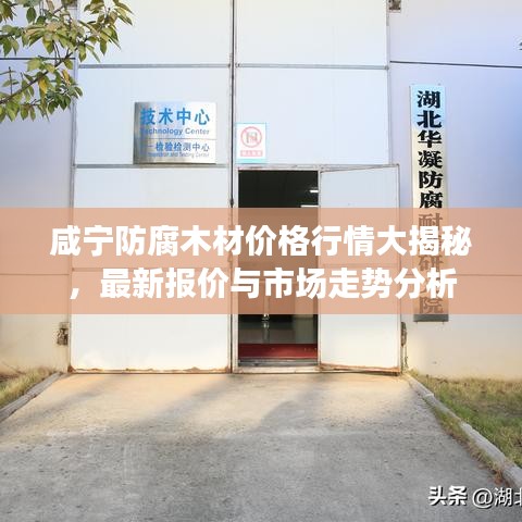 咸宁防腐木材价格行情大揭秘，最新报价与市场走势分析