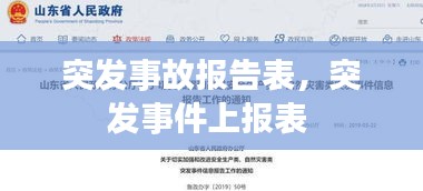 突发事故报告表，突发事件上报表 