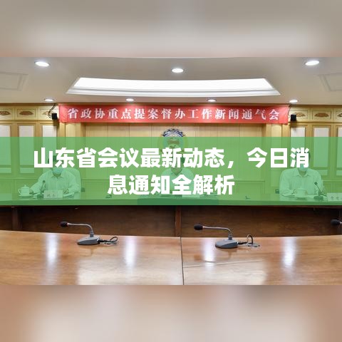 山东省会议最新动态，今日消息通知全解析