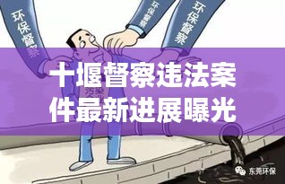 十堰督察违法案件最新进展曝光