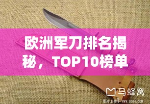 欧洲军刀排名揭秘，TOP10榜单中的利刃之选