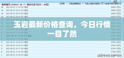 玉岩最新价格查询，今日行情一目了然