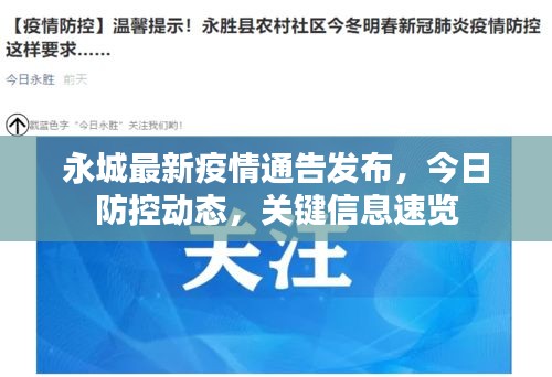 永城最新疫情通告发布，今日防控动态，关键信息速览