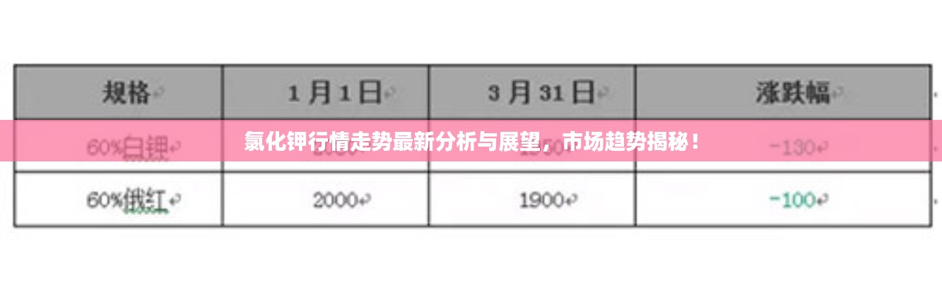 2025年2月18日 第12页