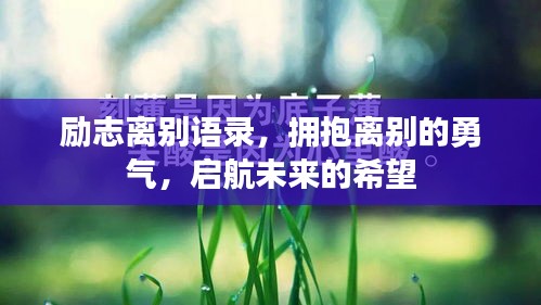 励志离别语录，拥抱离别的勇气，启航未来的希望