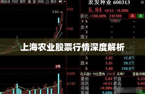 上海农业股票行情深度解析