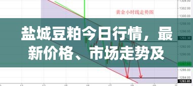 盐城豆粕今日行情，最新价格、市场走势及影响因素深度解析