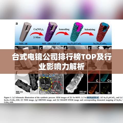 台式电镜公司排行榜TOP及行业影响力解析