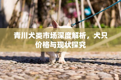 青川犬类市场深度解析，犬只价格与现状探究