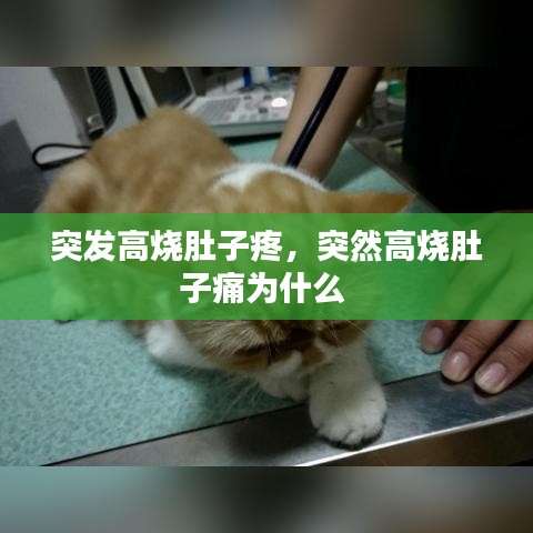 突发高烧肚子疼，突然高烧肚子痛为什么 