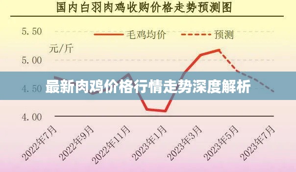 最新肉鸡价格行情走势深度解析