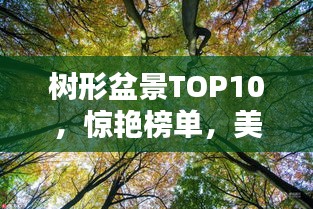 树形盆景TOP10，惊艳榜单，美不胜收